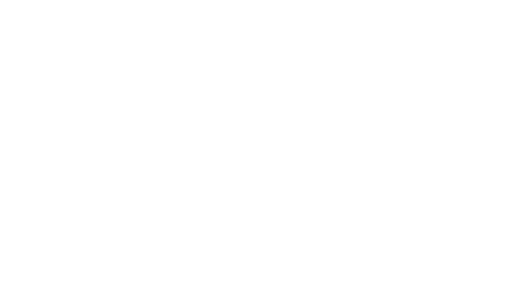 Valentina Pilates logo